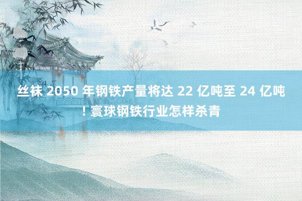 丝袜 2050 年钢铁产量将达 22 亿吨至 24 亿吨! 寰球钢铁行业怎样杀青