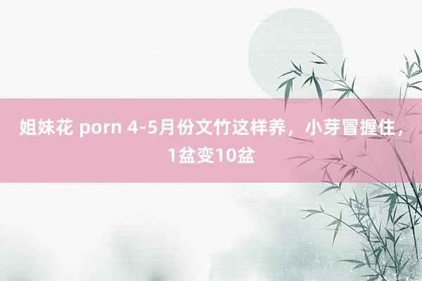 姐妹花 porn 4-5月份文竹这样养，小芽冒握住，1盆变10盆