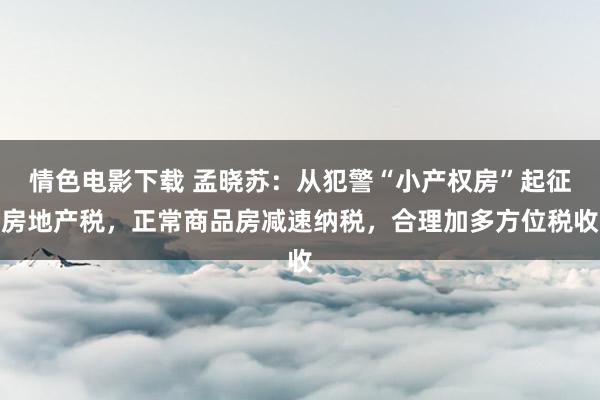 情色电影下载 孟晓苏：从犯警“小产权房”起征房地产税，正常商品房减速纳税，合理加多方位税收