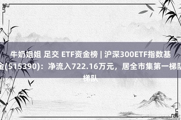 牛奶姐姐 足交 ETF资金榜 | 沪深300ETF指数基金(515390)：净流入722.16万元，居全市集第一梯队