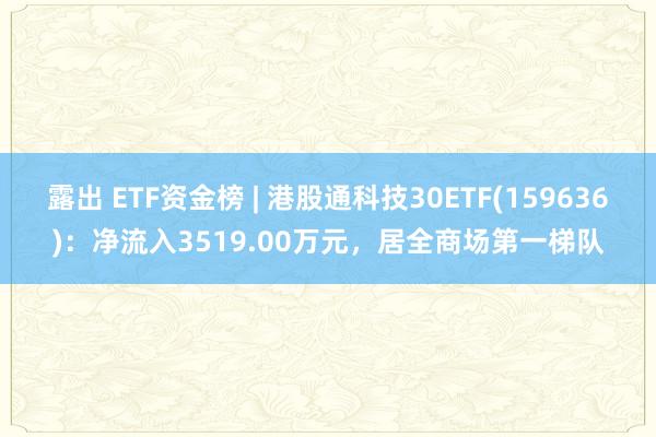 露出 ETF资金榜 | 港股通科技30ETF(159636)：净流入3519.00万元，居全商场第一梯队