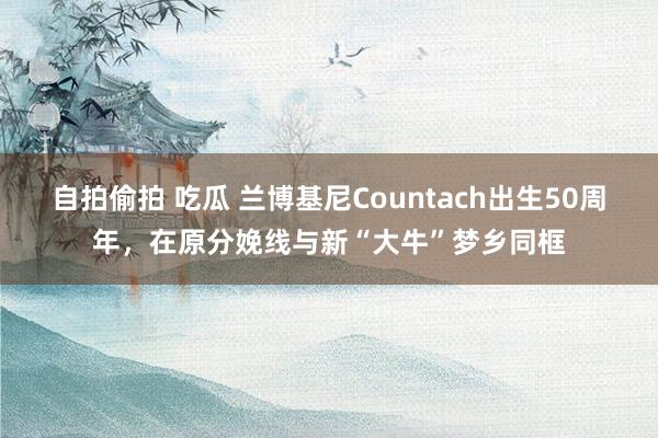 自拍偷拍 吃瓜 兰博基尼Countach出生50周年，在原分娩线与新“大牛”梦乡同框