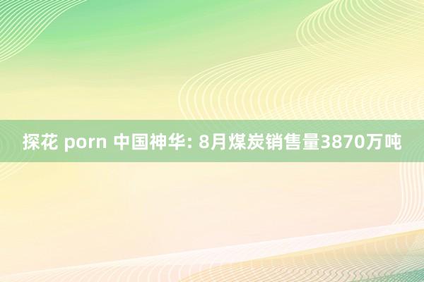 探花 porn 中国神华: 8月煤炭销售量3870万吨