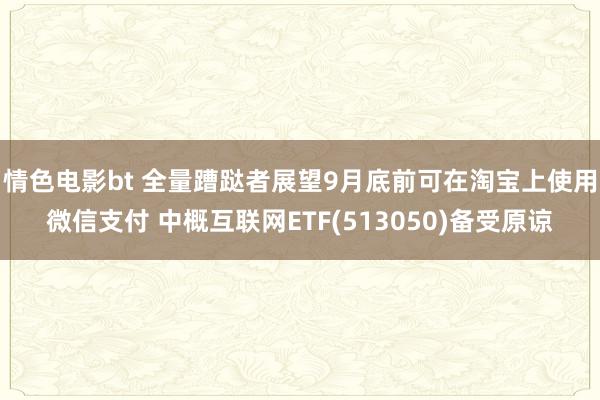 情色电影bt 全量蹧跶者展望9月底前可在淘宝上使用微信支付 中概互联网ETF(513050)备受原谅