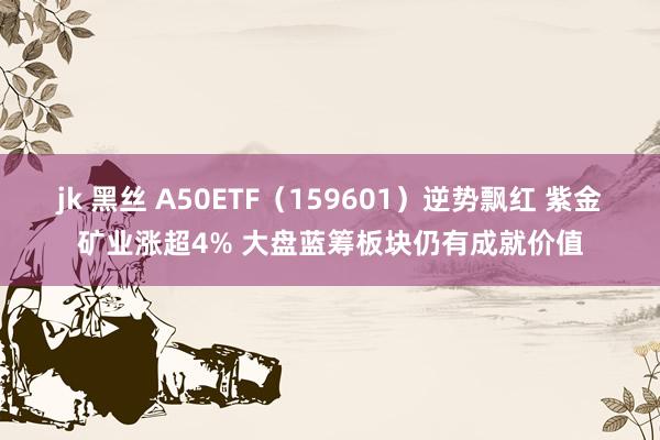 jk 黑丝 A50ETF（159601）逆势飘红 紫金矿业涨超4% 大盘蓝筹板块仍有成就价值