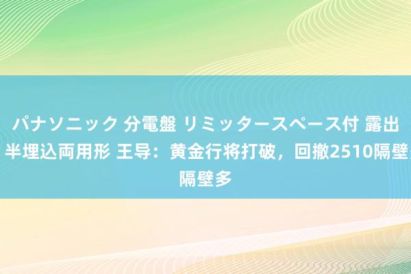 パナソニック 分電盤 リミッタースペース付 露出・半埋込両用形 王导：黄金行将打破，回撤2510隔壁多