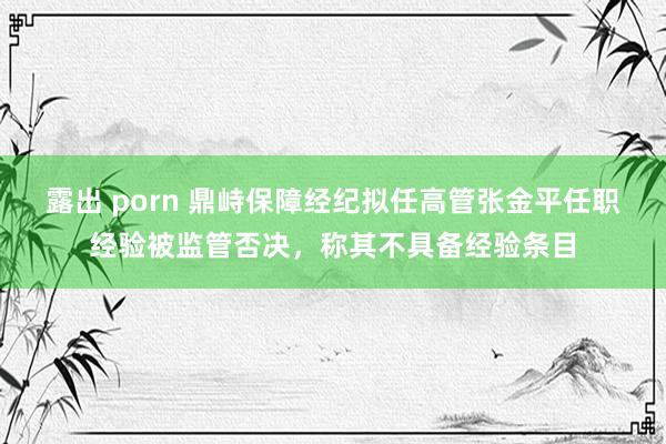 露出 porn 鼎峙保障经纪拟任高管张金平任职经验被监管否决，称其不具备经验条目