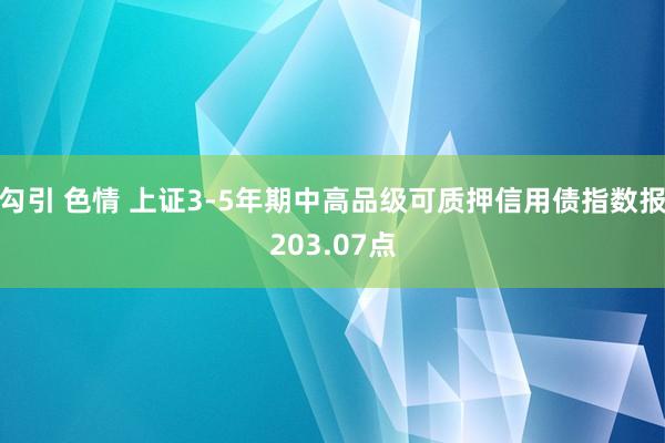 勾引 色情 上证3-5年期中高品级可质押信用债指数报203.07点