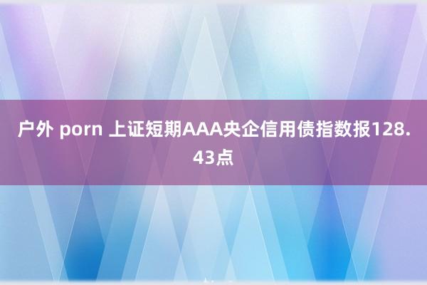 户外 porn 上证短期AAA央企信用债指数报128.43点