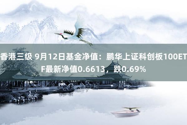 香港三级 9月12日基金净值：鹏华上证科创板100ETF最新净值0.6613，跌0.69%