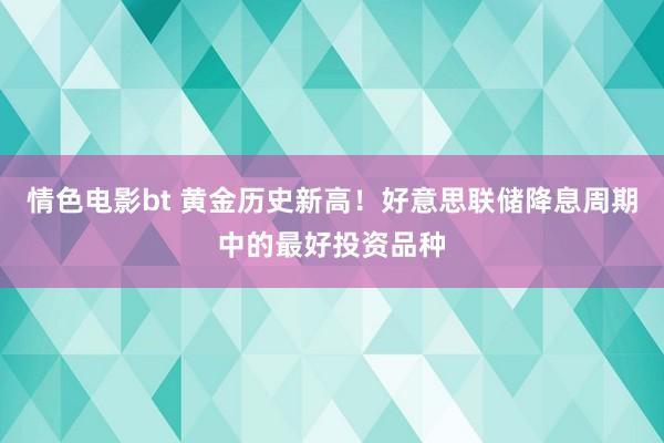 情色电影bt 黄金历史新高！好意思联储降息周期中的最好投资品种