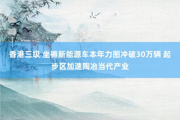 香港三级 坐褥新能源车本年力图冲破30万辆 起步区加速陶冶当代产业