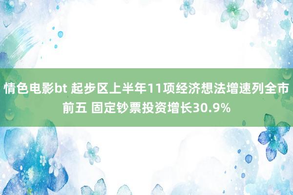 情色电影bt 起步区上半年11项经济想法增速列全市前五 固定钞票投资增长30.9%