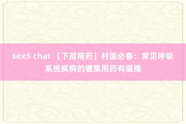 sex5 chat 【下层用药】村医必备：常见呼吸系统疾病的辘集用药有缱绻