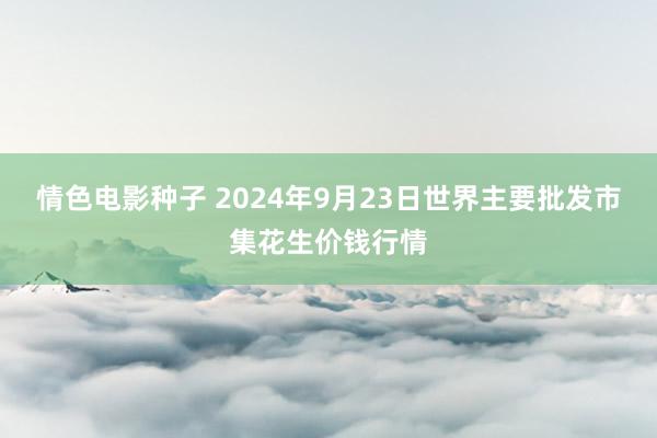 情色电影种子 2024年9月23日世界主要批发市集花生价钱行情