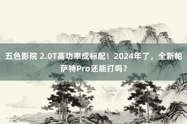 五色影院 2.0T高功率成标配！2024年了，全新帕萨特Pro还能打吗？