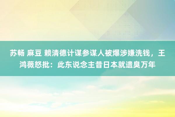 苏畅 麻豆 赖清德计谋参谋人被爆涉嫌洗钱，王鸿薇怒批：此东说念主昔日本就遗臭万年