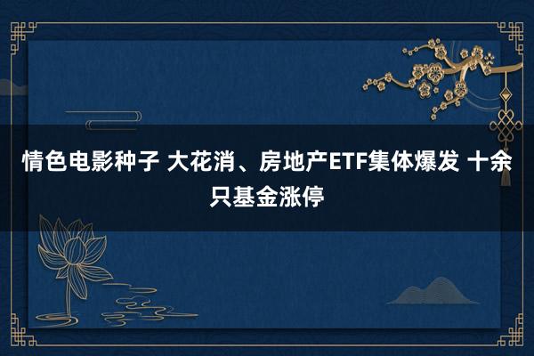 情色电影种子 大花消、房地产ETF集体爆发 十余只基金涨停