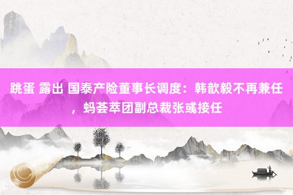 跳蛋 露出 国泰产险董事长调度：韩歆毅不再兼任，蚂荟萃团副总裁张彧接任