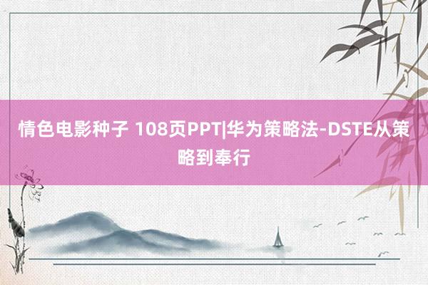 情色电影种子 108页PPT|华为策略法-DSTE从策略到奉行