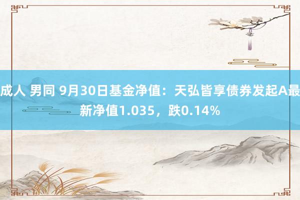 成人 男同 9月30日基金净值：天弘皆享债券发起A最新净值1.035，跌0.14%