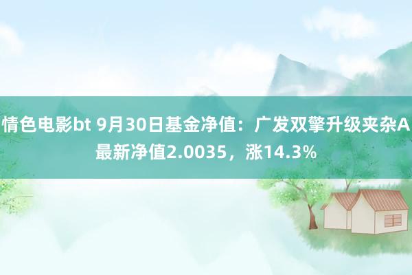 情色电影bt 9月30日基金净值：广发双擎升级夹杂A最新净值2.0035，涨14.3%