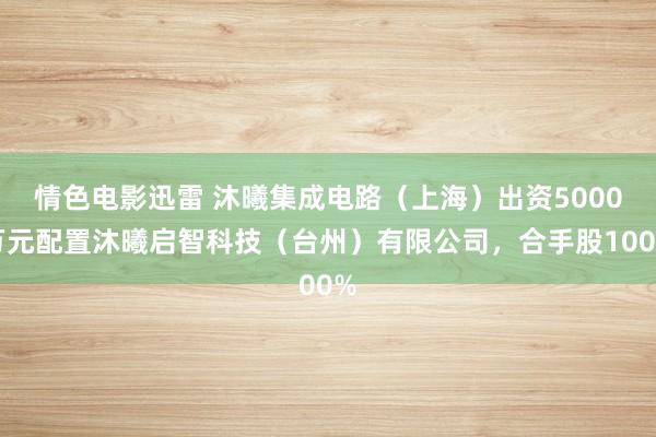 情色电影迅雷 沐曦集成电路（上海）出资5000万元配置沐曦启智科技（台州）有限公司，合手股100%