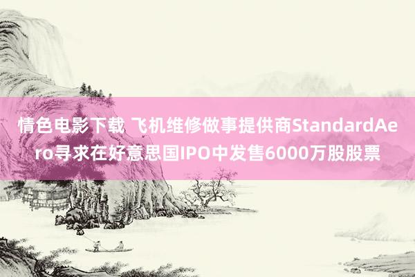 情色电影下载 飞机维修做事提供商StandardAero寻求在好意思国IPO中发售6000万股股票