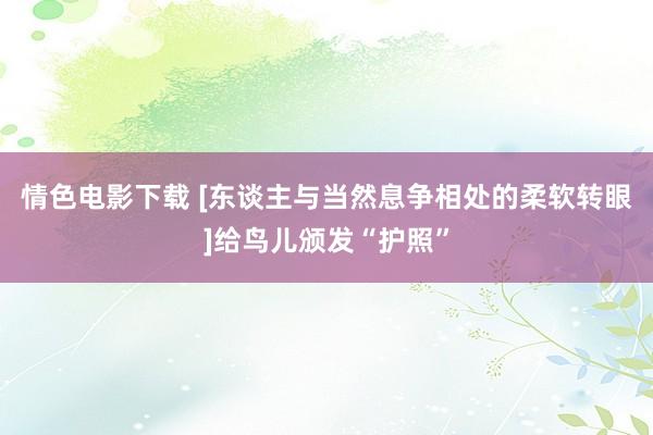 情色电影下载 [东谈主与当然息争相处的柔软转眼]给鸟儿颁发“护照”