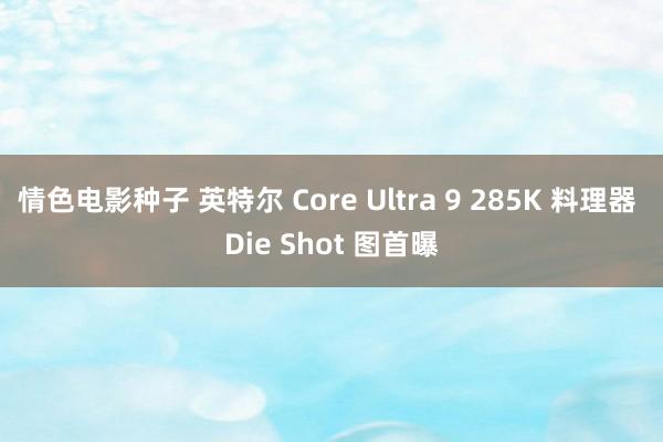 情色电影种子 英特尔 Core Ultra 9 285K 料理器 Die Shot 图首曝