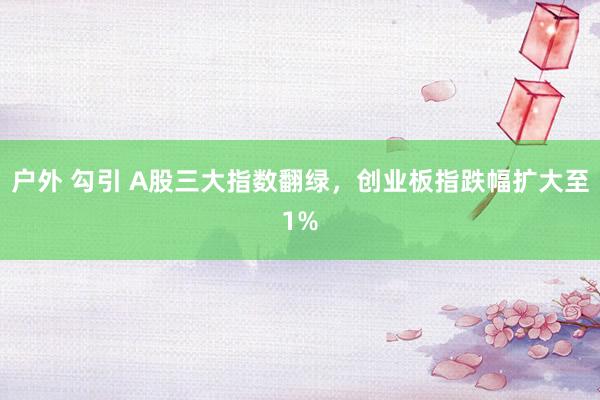 户外 勾引 A股三大指数翻绿，创业板指跌幅扩大至1%