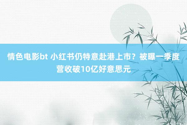 情色电影bt 小红书仍特意赴港上市？被曝一季度营收破10亿好意思元