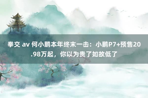 拳交 av 何小鹏本年终末一击：小鹏P7+预售20.98万起，你以为贵了如故低了