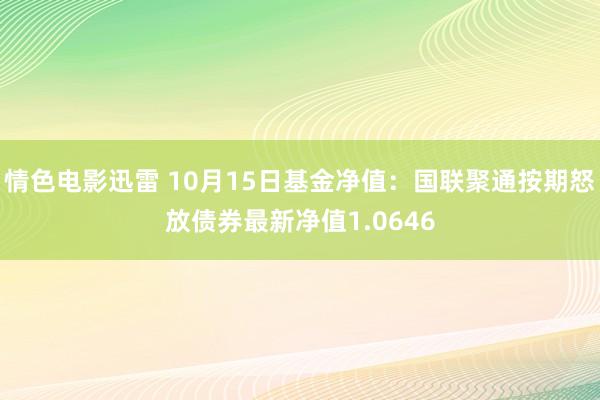 情色电影迅雷 10月15日基金净值：国联聚通按期怒放债券最新净值1.0646