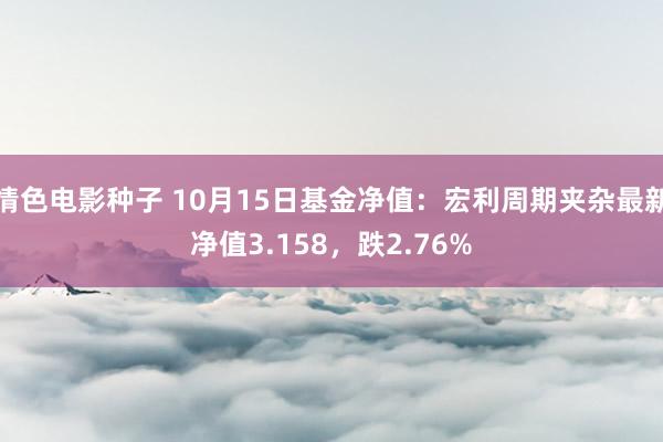 情色电影种子 10月15日基金净值：宏利周期夹杂最新净值3.158，跌2.76%