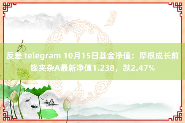 反差 telegram 10月15日基金净值：摩根成长前锋夹杂A最新净值1.238，跌2.47%