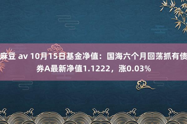 麻豆 av 10月15日基金净值：国海六个月回荡抓有债券A最新净值1.1222，涨0.03%