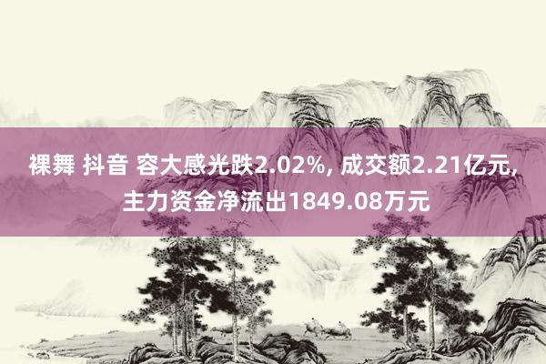 裸舞 抖音 容大感光跌2.02%， 成交额2.21亿元， 主力资金净流出1849.08万元