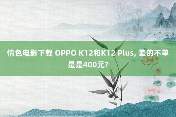 情色电影下载 OPPO K12和K12 Plus， 差的不单是是400元?