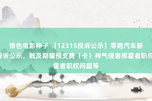 情色电影种子 【12315投诉公示】零跑汽车新增4件投诉公示，触及期骗预支费（卡）神气侵害挥霍者职权问题等