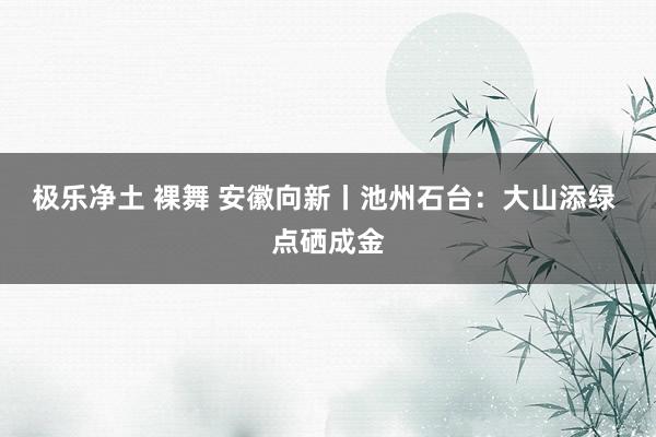 极乐净土 裸舞 安徽向新丨池州石台：大山添绿 点硒成金