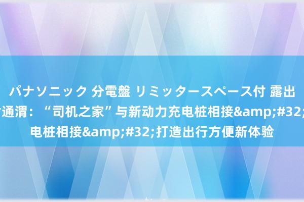 パナソニック 分電盤 リミッタースペース付 露出・半埋込両用形 甘肃通渭：“司机之家”与新动力充电桩相接&#32;打造出行方便新体验