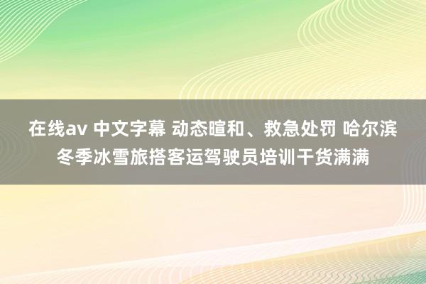 在线av 中文字幕 动态暄和、救急处罚 哈尔滨冬季冰雪旅搭客运驾驶员培训干货满满