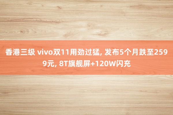 香港三级 vivo双11用劲过猛， 发布5个月跌至2599元， 8T旗舰屏+120W闪充