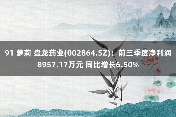 91 萝莉 盘龙药业(002864.SZ)：前三季度净利润8957.17万元 同比增长6.50%