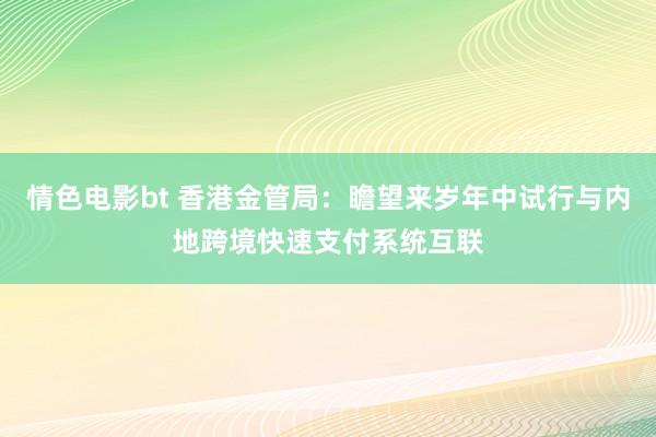 情色电影bt 香港金管局：瞻望来岁年中试行与内地跨境快速支付系统互联