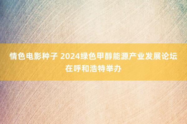 情色电影种子 2024绿色甲醇能源产业发展论坛在呼和浩特举办