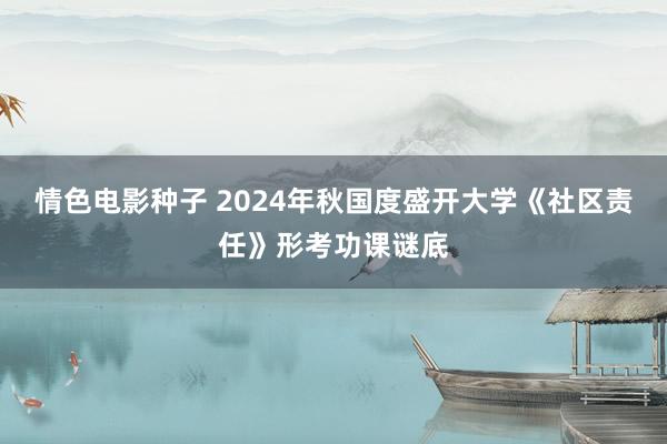 情色电影种子 2024年秋国度盛开大学《社区责任》形考功课谜底