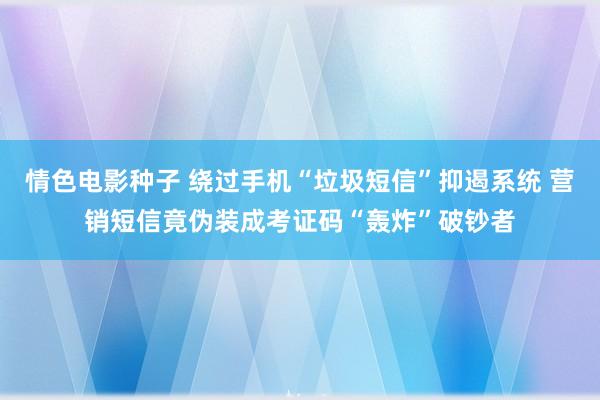 情色电影种子 绕过手机“垃圾短信”抑遏系统 营销短信竟伪装成考证码“轰炸”破钞者