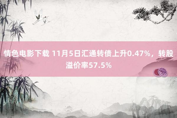 情色电影下载 11月5日汇通转债上升0.47%，转股溢价率57.5%